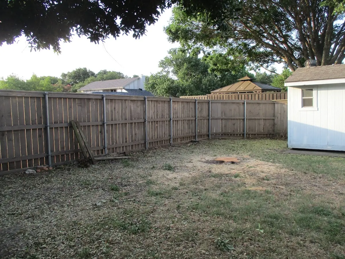 Cleared yard after professional tree removal in Peckville